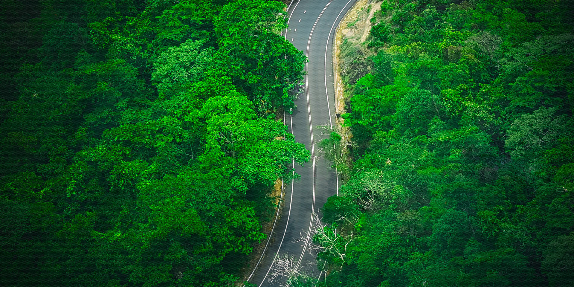 Camerapixo Press We Inspire, we publish, we are the press